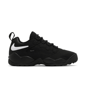Sneaker Nike SB Darwin Low Supreme Black
